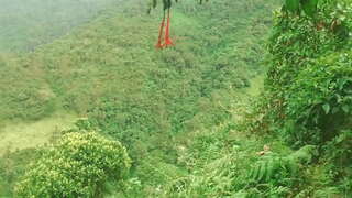 Колумбиялық орманда Тіл беріп, бейтаныс адамдармен жыныстық қатынасқа түсіп, қаржылық көмекке айырбастады.