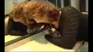 Masturbasi lan wanita