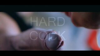 پولینڈ کی مالکن - سی سی ٹرینر