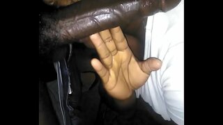 Canol dydd pennaeth oddi ar y soffa